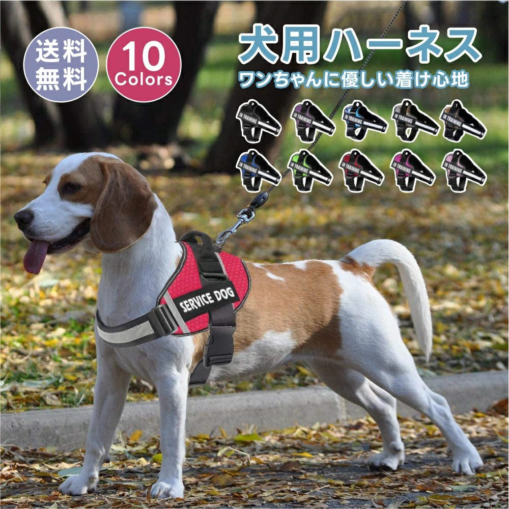 【名入れ可】犬ハーネス名前胴輪単品名入れイニシャル簡単装着引っ張り防止抜けない小型犬中型犬大型犬かわいい散歩お出かけアウトドア迷子防止通気性ナイロンマジックテープハンドル付き