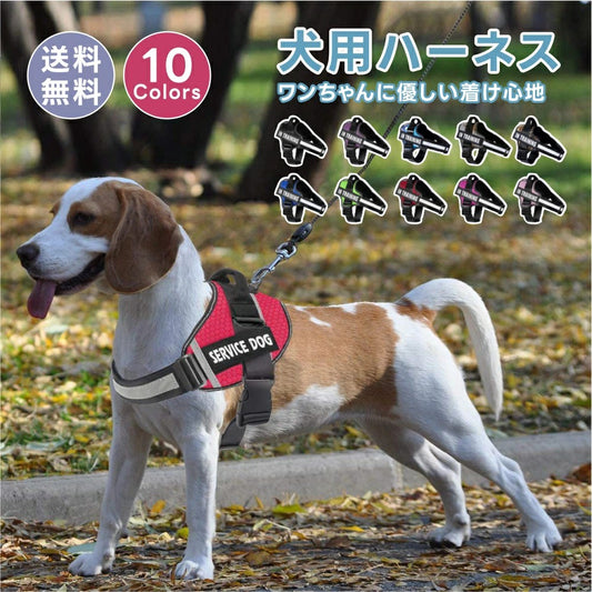 【名入れ可】犬ハーネス名前胴輪単品名入れイニシャル簡単装着引っ張り防止抜けない小型犬中型犬大型犬かわいい散歩お出かけアウトドア迷子防止通気性ナイロンマジックテープハンドル付き